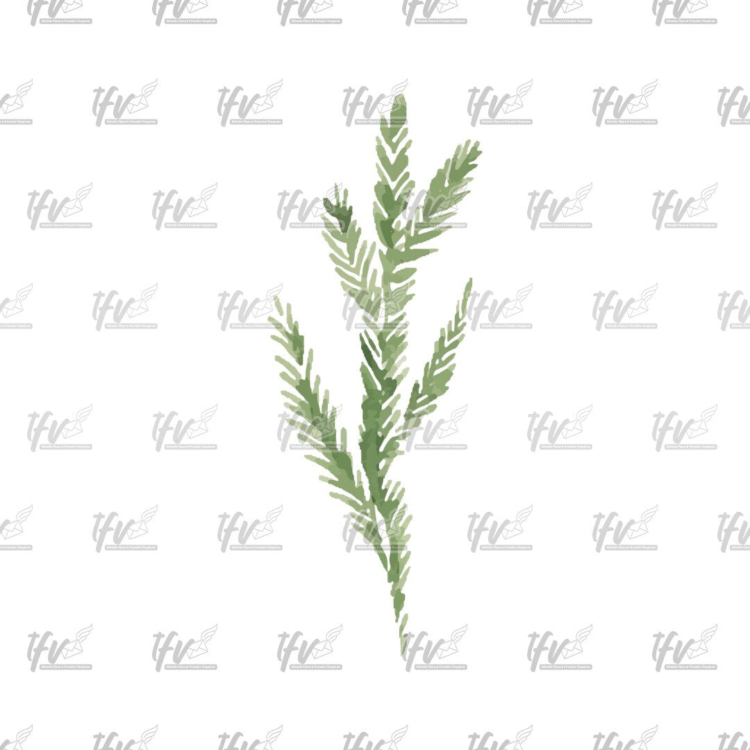 Christmas Clipart, Christmas Tree, Fern, Fir Watercolor Vector, Christmas ClipArt, Christmas, Christmas Leaf, Sublimation, Sublimations, Png