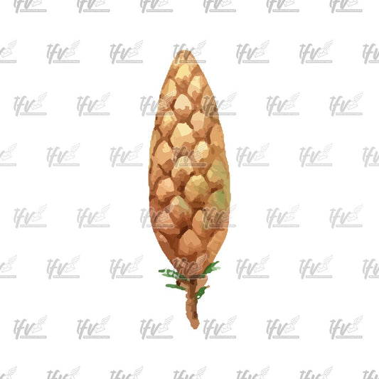 Christmas Pine Cone Clipart, Pine Tree Vector, Christmas Clip Art, Christmas Décor, Watercolor Christmas Sublimation, Sublimation Designs
