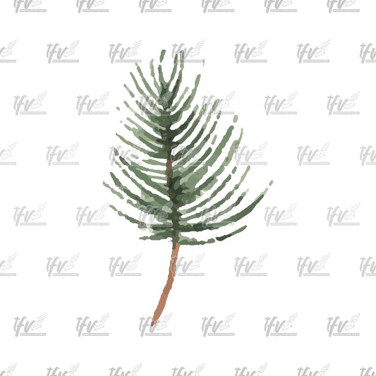 Christmas Clipart, Tree Branch Watercolor Vector, Christmas Clip Art, Christmas Décor, Watercolor Christmas Sublimation, Sublimation Designs