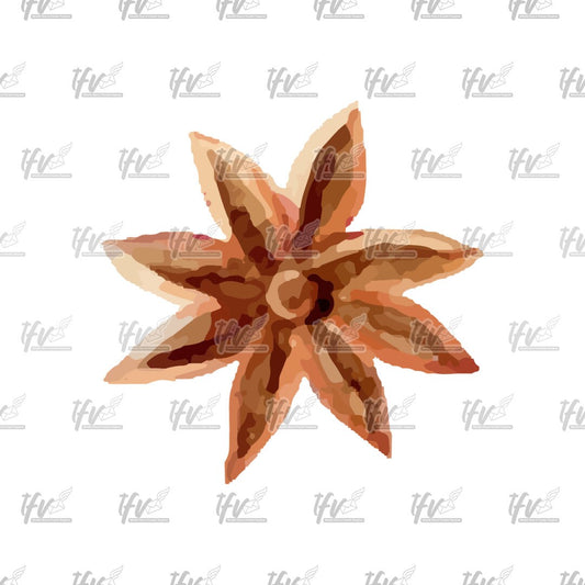 Christmas Clipart, Star Leaf Watercolor Vector, Christmas Clip Art, Christmas Décor, Watercolor Christmas Sublimation, Sublimation Designs