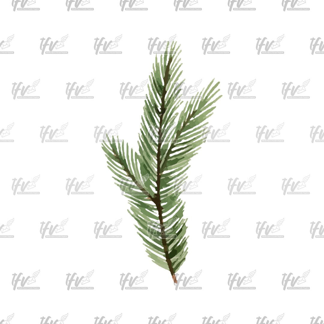 Christmas Clipart, Christmas Tree Fir Watercolor Vector, Christmas ClipArt, Christmas Reef, Christmas Leaves Sublimation, Sublimation Design