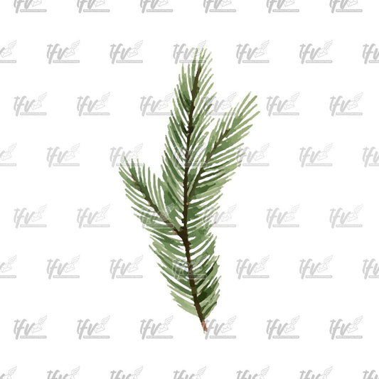 Christmas Clipart, Christmas Tree Fir Watercolor Vector, Christmas ClipArt, Christmas Reef, Christmas Leaves Sublimation, Sublimation Design
