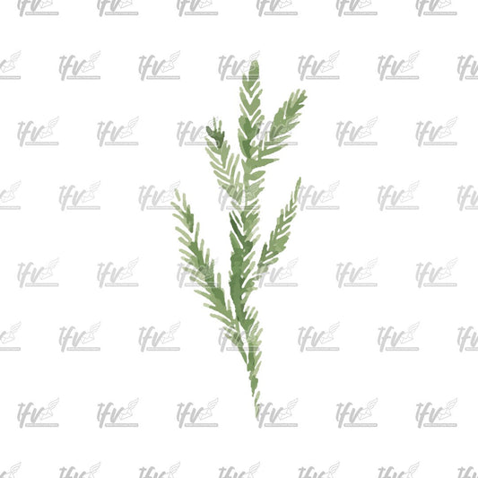 Christmas Clipart, Christmas Tree, Fern, Fir Watercolor Vector, Christmas ClipArt, Christmas, Christmas Leaf, Sublimation, Sublimations, Png