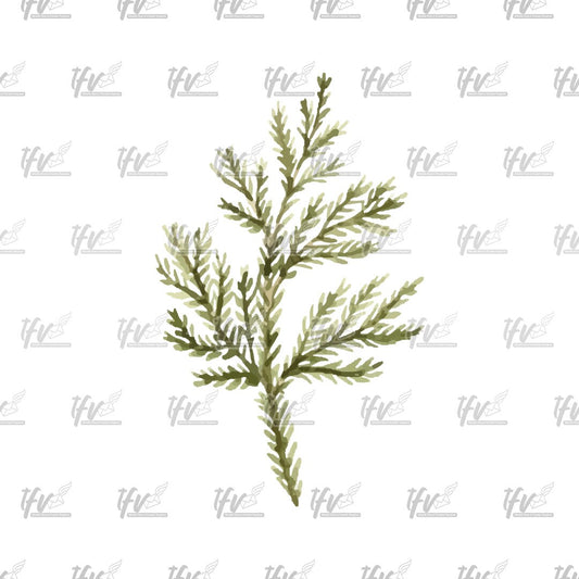 Christmas Clipart, Christmas Fir Watercolor Vector, Christmas Clip Art, Christmas Reef, Christmas Leaves Sublimation, Sublimation Designs